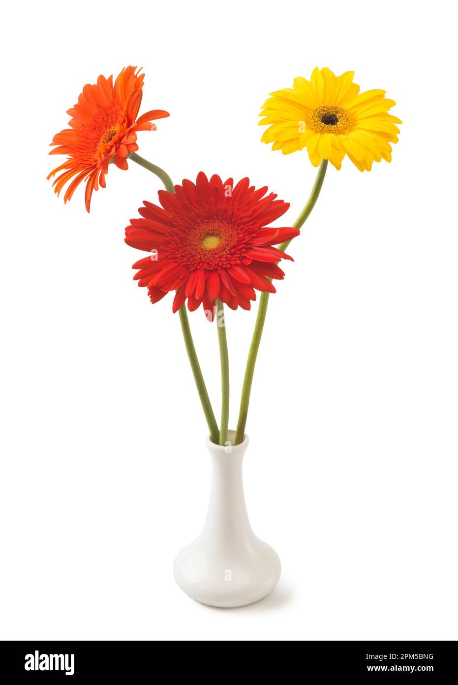 Bouquet de fleurs gerberas isolées sur fond blanc Banque D'Images