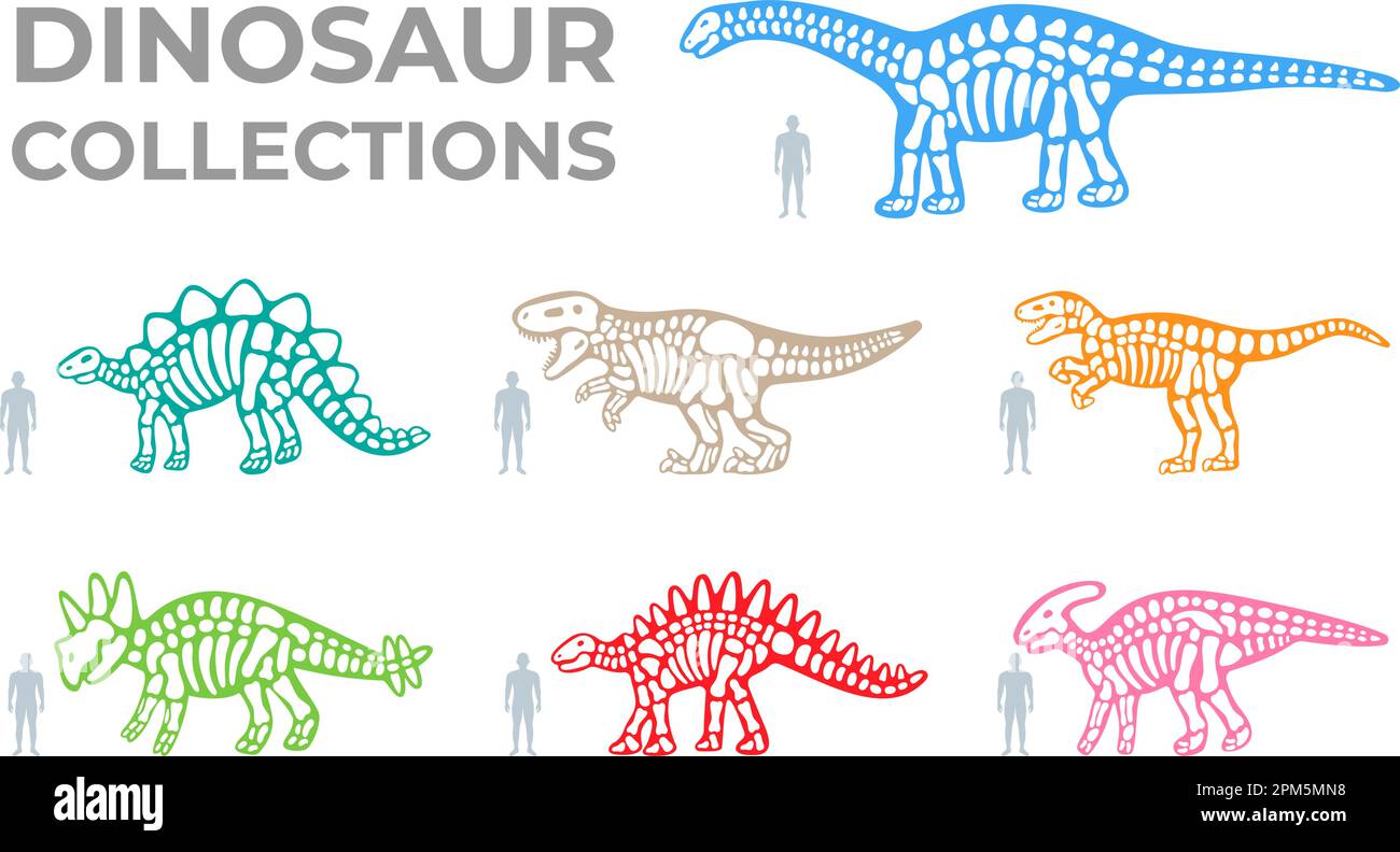 Ensemble de squelettes de dinosaures. Triceratops, Tyrannosaurus ...