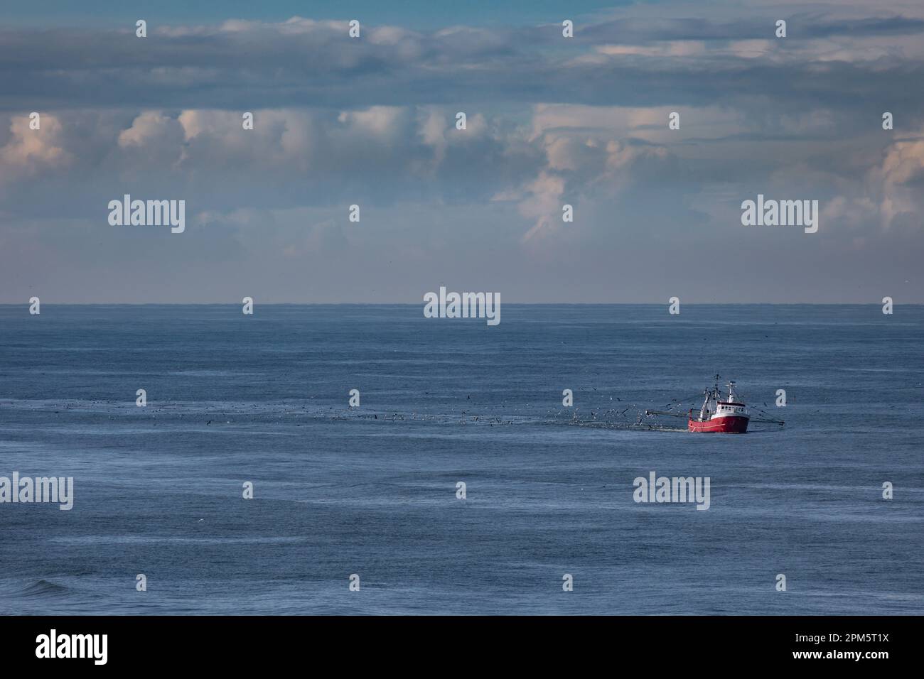 Un couteau avec filets de traînée levés sur la mer du Nord près de la plage Banque D'Images