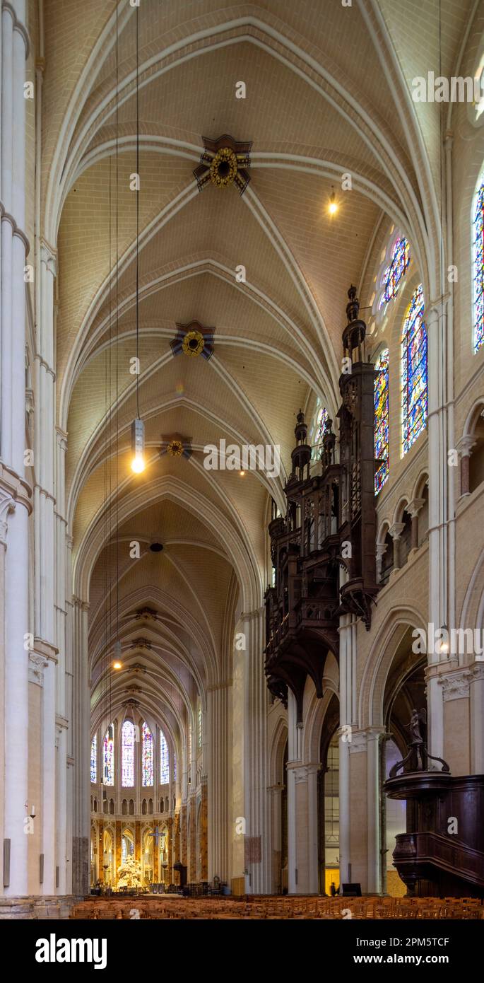 Nef, cathédrale de Chartres, France Banque D'Images