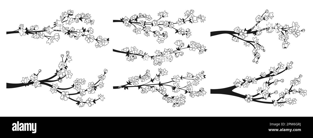 Cerisiers en fleurs contour rameaux sakura avec collection de fleurs. Les branches japonaises élégantes fleurissent plante avec des fleurs ensemble. Printemps asiatique chinois décoratif cerisier fleuri. Illustration vectorielle orientale Illustration de Vecteur