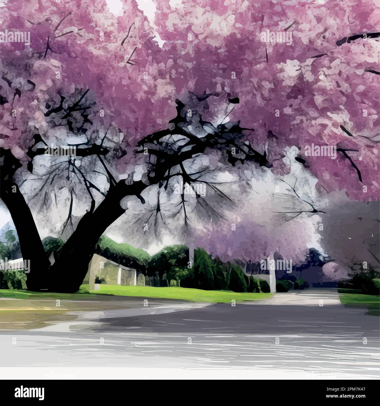 Fleurs de cerisier, sakura de printemps aquarelle fleurs sur le set d'art  de ciel. Jolie plante peinte orientale. Illustration de vecteur de couleur  pastel Botanil, illustration de vecteur. Esquisse de ressort Image