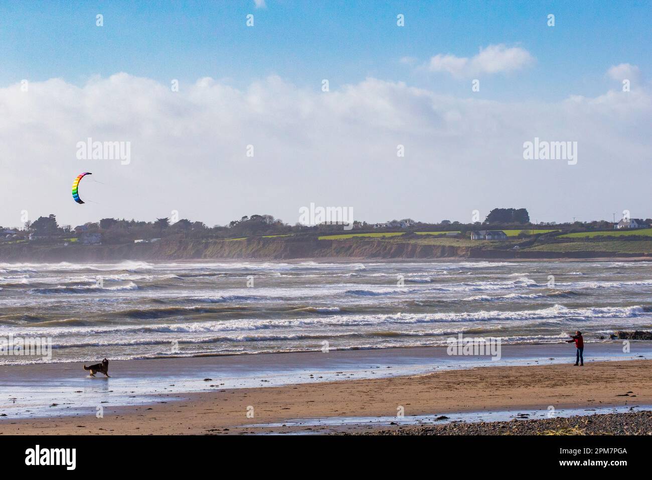 cerf-volant sur la plage Banque D'Images