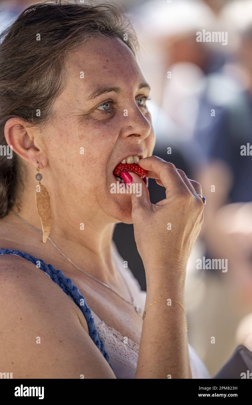 France, Dordogne, Périgord blanc, Périgueux, ville de Vergt, Festival Vergt Strawberry Banque D'Images