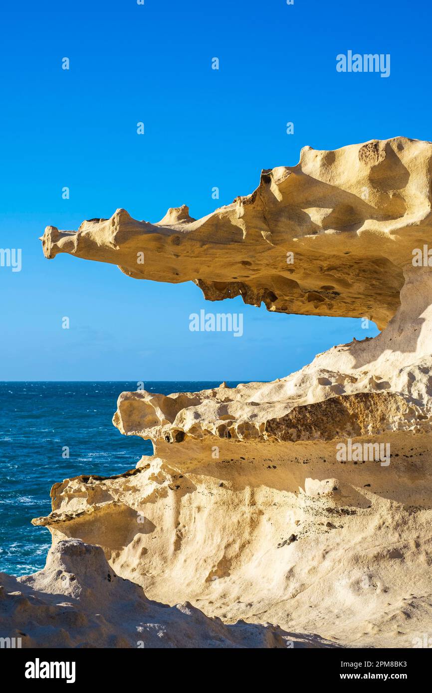 Espagne, îles Canaries, Fuerteventura, municipalité de Pajara, la côte ouest dans les environs de la Pared, Crocodile rock Banque D'Images