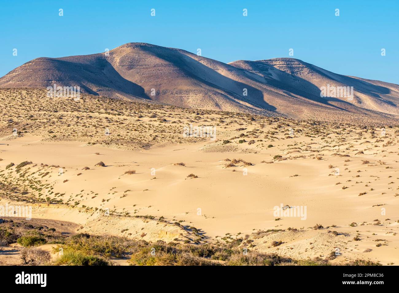Espagne, Îles Canaries, Fuerteventura, municipalité de Pajara, dunes de Risco del Paso Banque D'Images