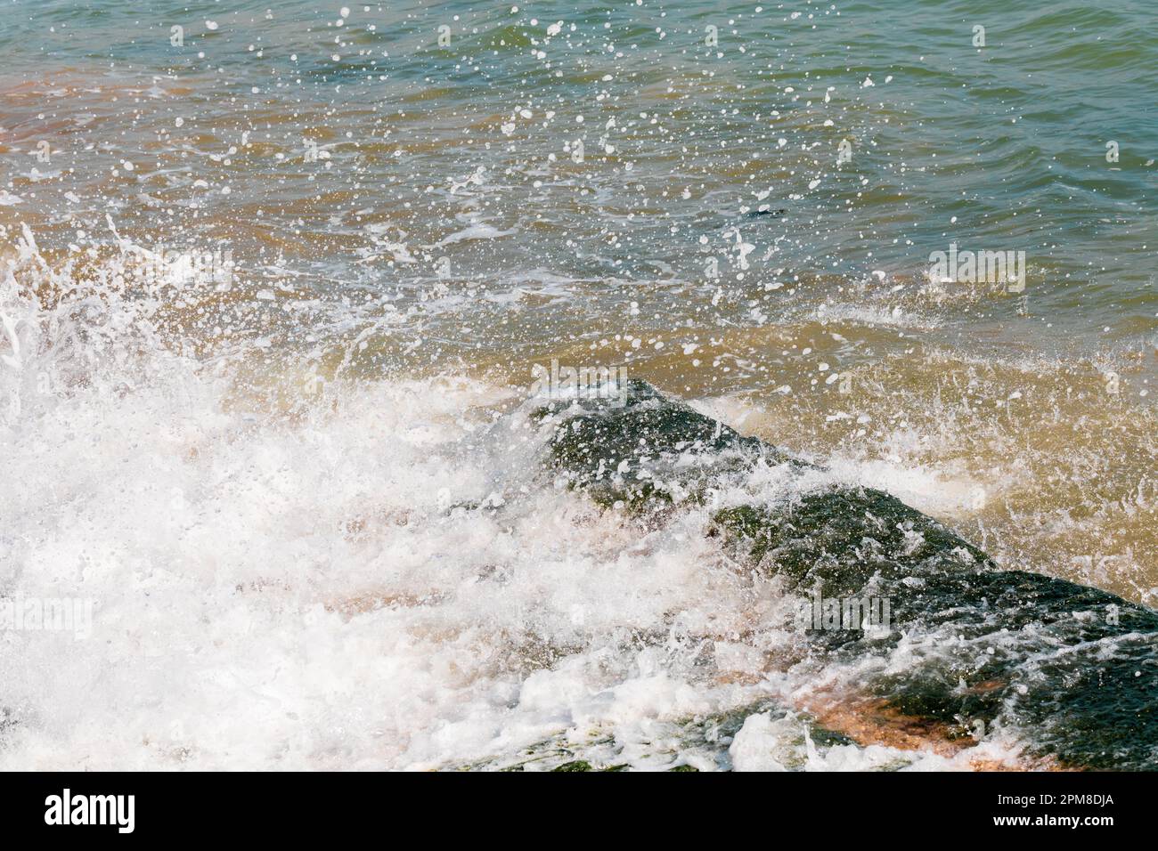 Des vagues moulantes se brisent et se brisent sur des rochers recouverts d'algues. Banque D'Images