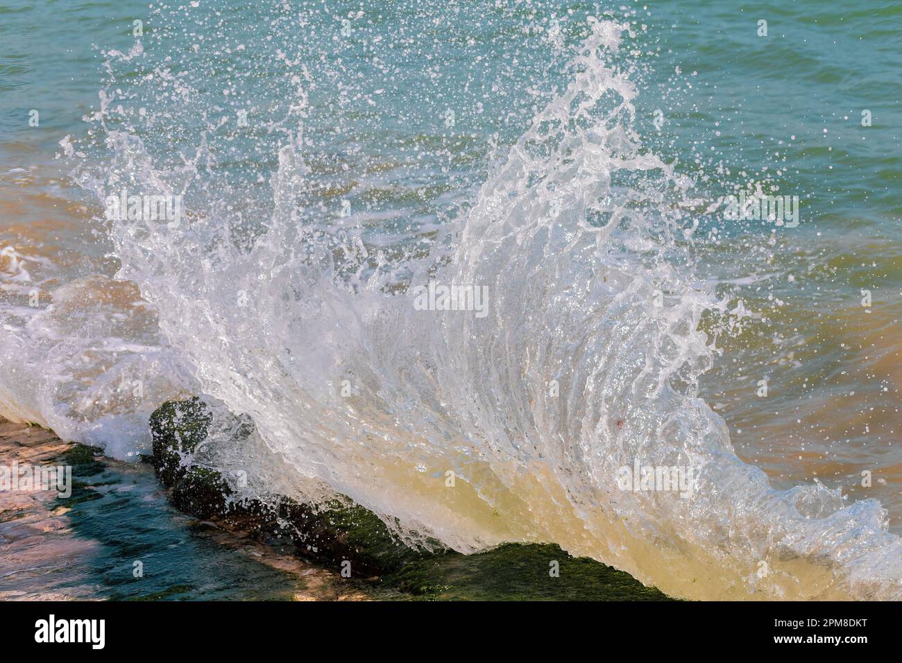 Vagues de mer éclaboussant contre un peu de roche couverte d'algues. Banque D'Images
