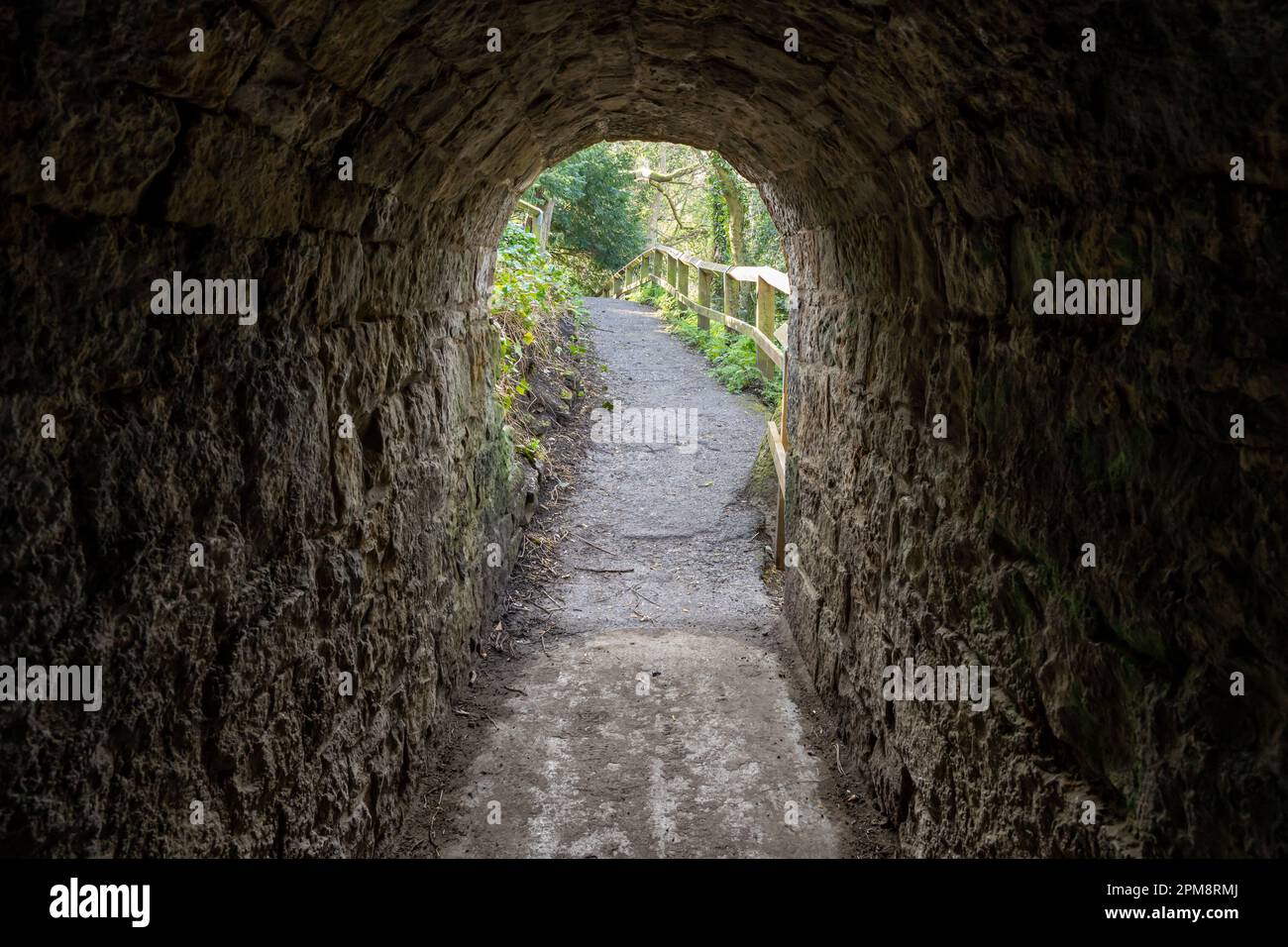 Une vue à travers un vieux tunnel de carrière, maintenant un sentier à Jesmond Dene, Newcastle upon Tyne, Royaume-Uni. Banque D'Images