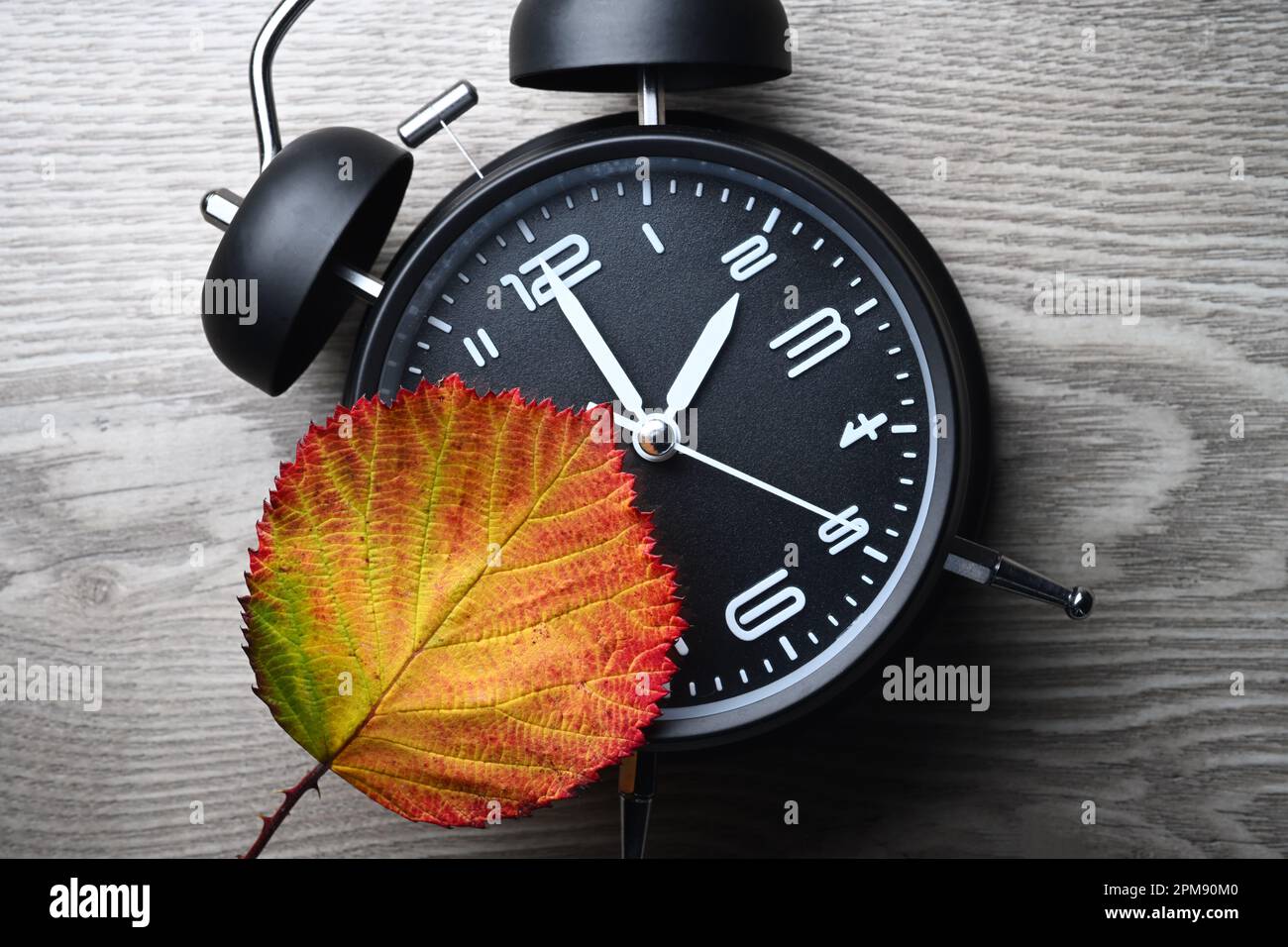 Herbstblatt auf Wecker, Symbolfoto für die Rückstellung auf Winterzeit Banque D'Images