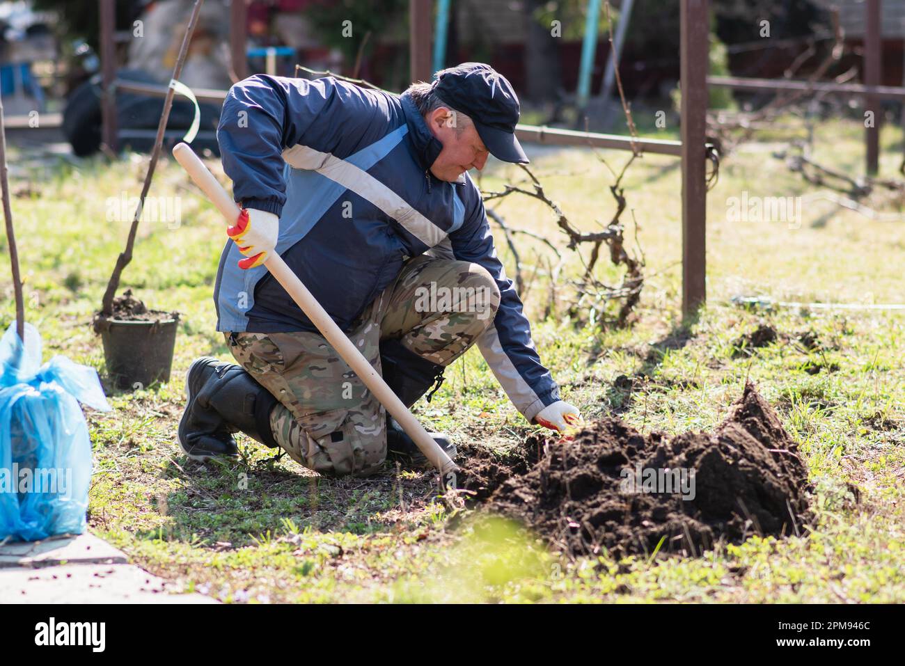 Un homme plante un jeune arbre dans le jardin. L'agriculteur creuse le sol à l'aide d'une pelle pour un petit semis. Le concept de protection de l'en Banque D'Images