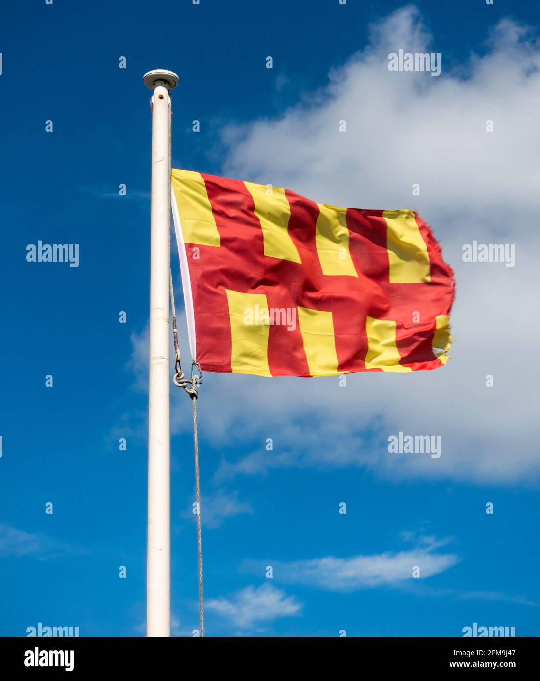 The Flag of Northumberland, Northumberland, Angleterre, Royaume-Uni Banque D'Images
