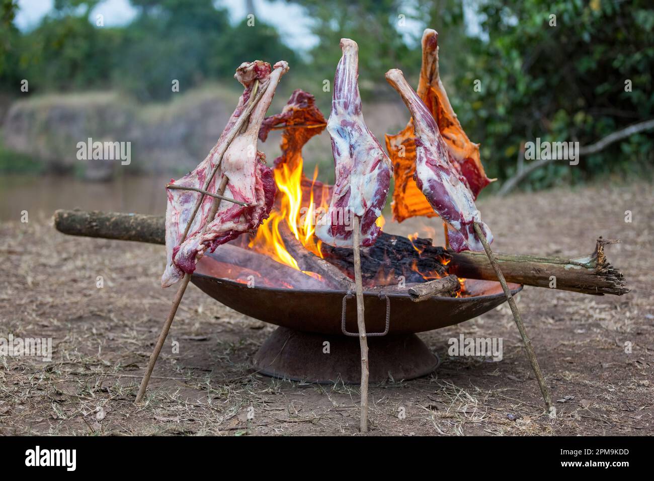 Morceaux de viande de chèvre étant cuits la manière traditionnelle et feu ouvert dans le Mara Masai. C'est l'hospitalité de Maasai de partager une chèvre abattue avec f Banque D'Images