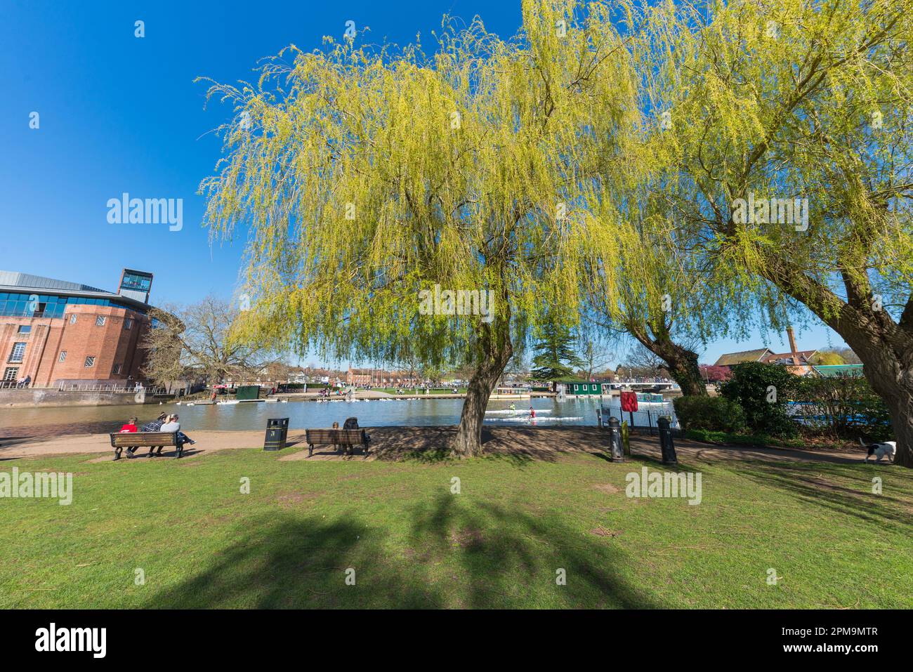 Le Royal Shakespeare Theatre est situé sur les rives de la rivière Avon, à Stratford-upon-Avon, dans le Warwickshire, en Angleterre Banque D'Images