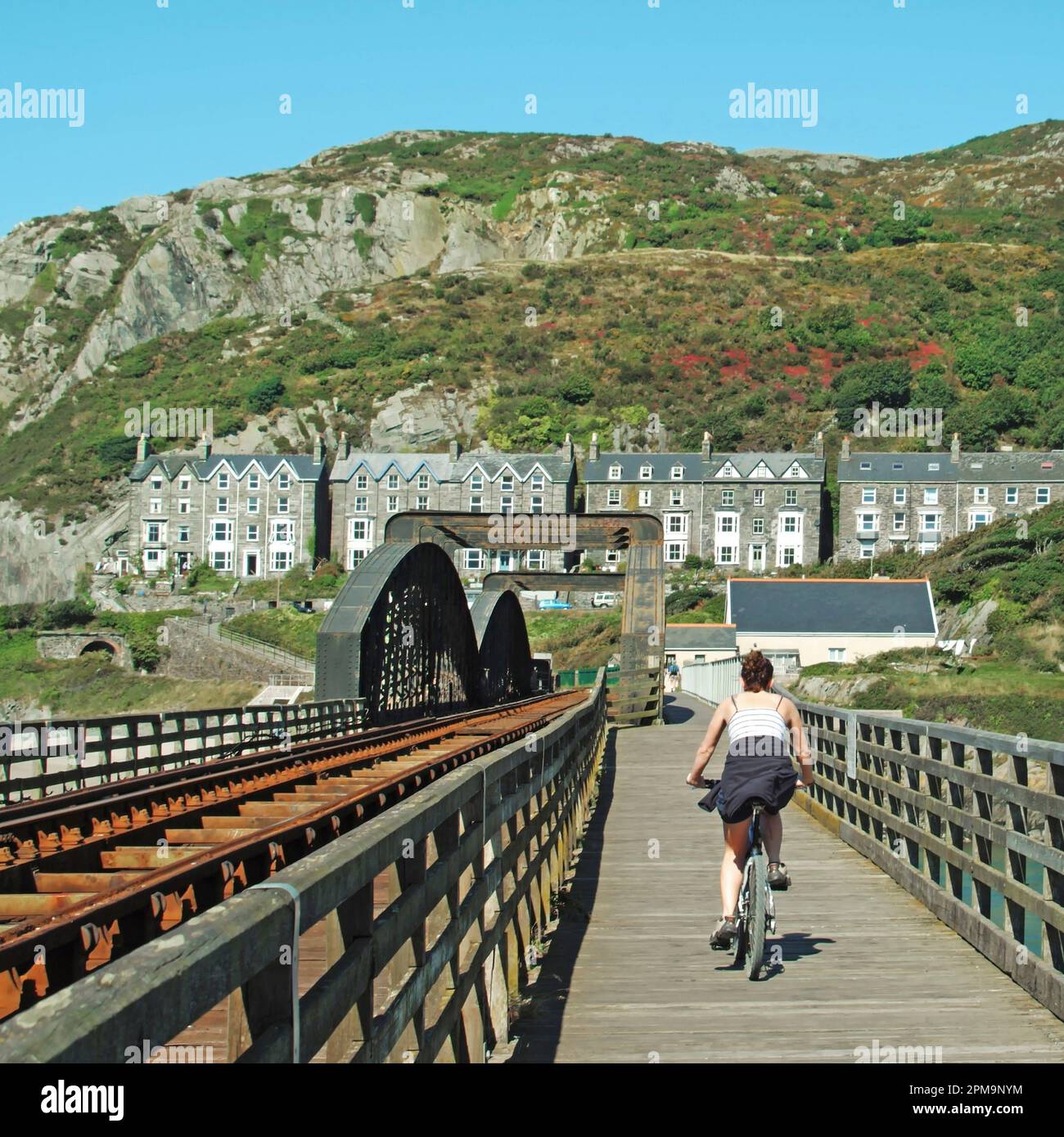 Une cycliste complète un voyage à vélo à côté du pont historique victorien de Barmouth (ou Pont Abermaw) ou (Barmouth Viaduct) qui est une structure de chemin de fer en bois classé de classe II. Parallèlement à la voie ferrée se trouve cette passerelle et les deux traversent l'estuaire de la rivière Afon Mawddach reliant Barmouth ici à Morfa Mawddach une petite station située à 820 mètres à Gwynedd, dans le nord du pays de Galles. La passerelle fait partie de la National cycle route 8 et est accessible aux piétons cyclistes et aux usagers de moto. Banque D'Images