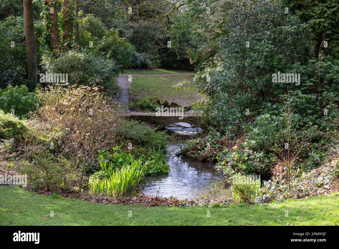 Cours d'eau avec des cascades qui s'écoulent à travers Howard Park dans la ville de Glossop, dans le nord du Derbyshire, en Angleterre. Banque D'Images