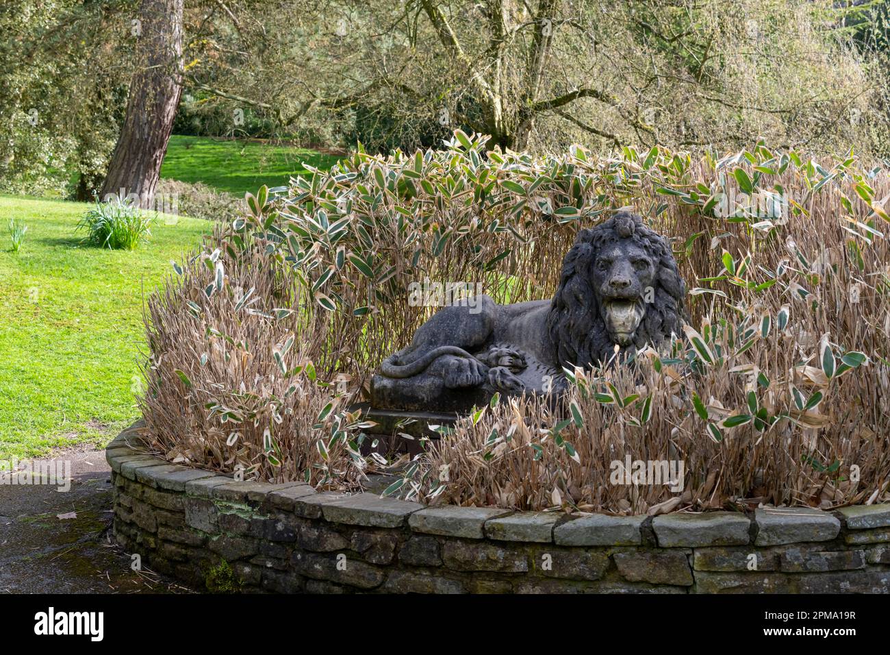 Statue de lion de pierre à l'extérieur des bains de natation à Howard Park, Glossop, Derbyshire, Angleterre. Banque D'Images