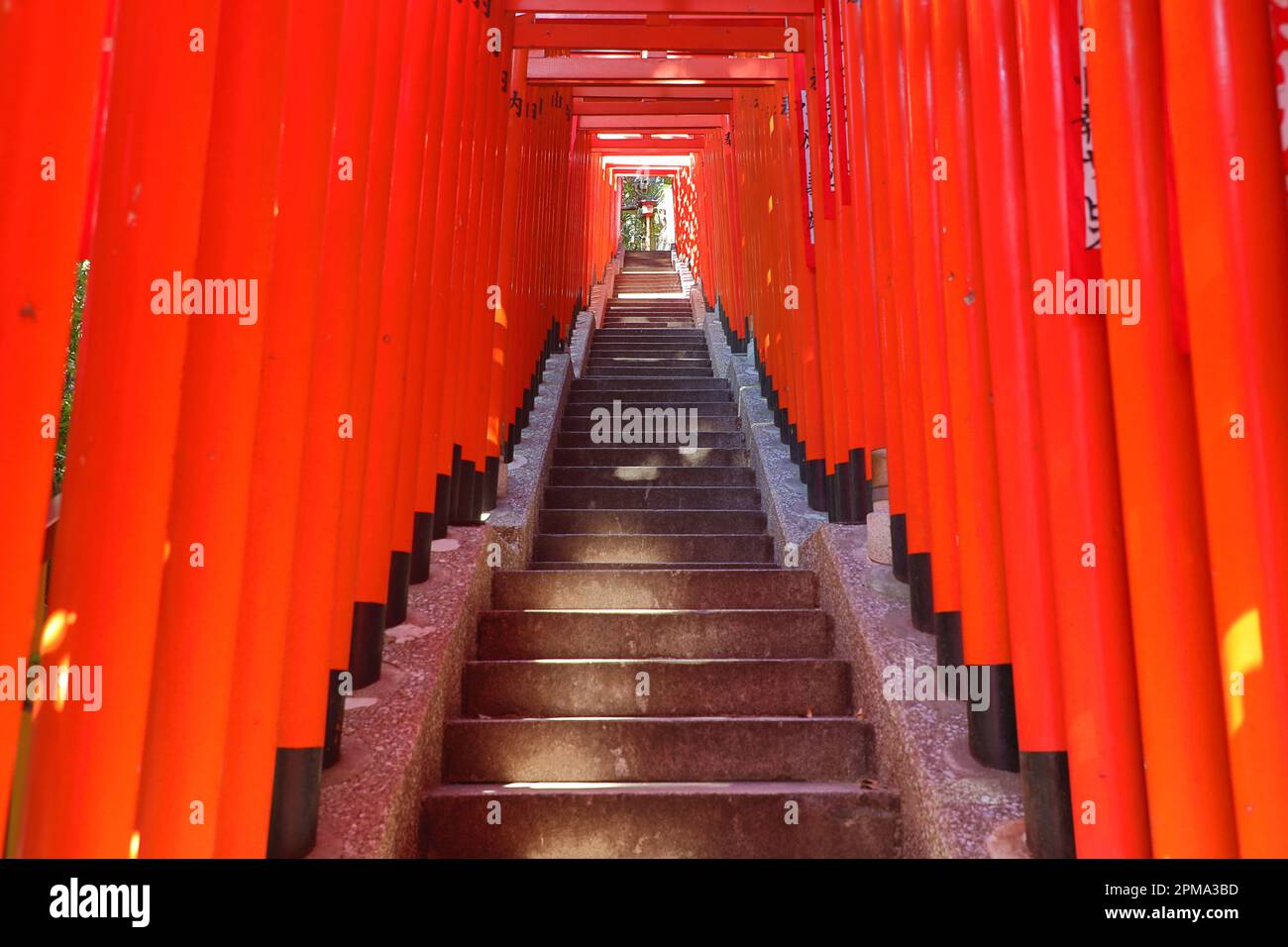 Tunnel de Torii rouge au Sanctuaire Shinto Hie-Jinja, Tokyo, Japon Banque D'Images