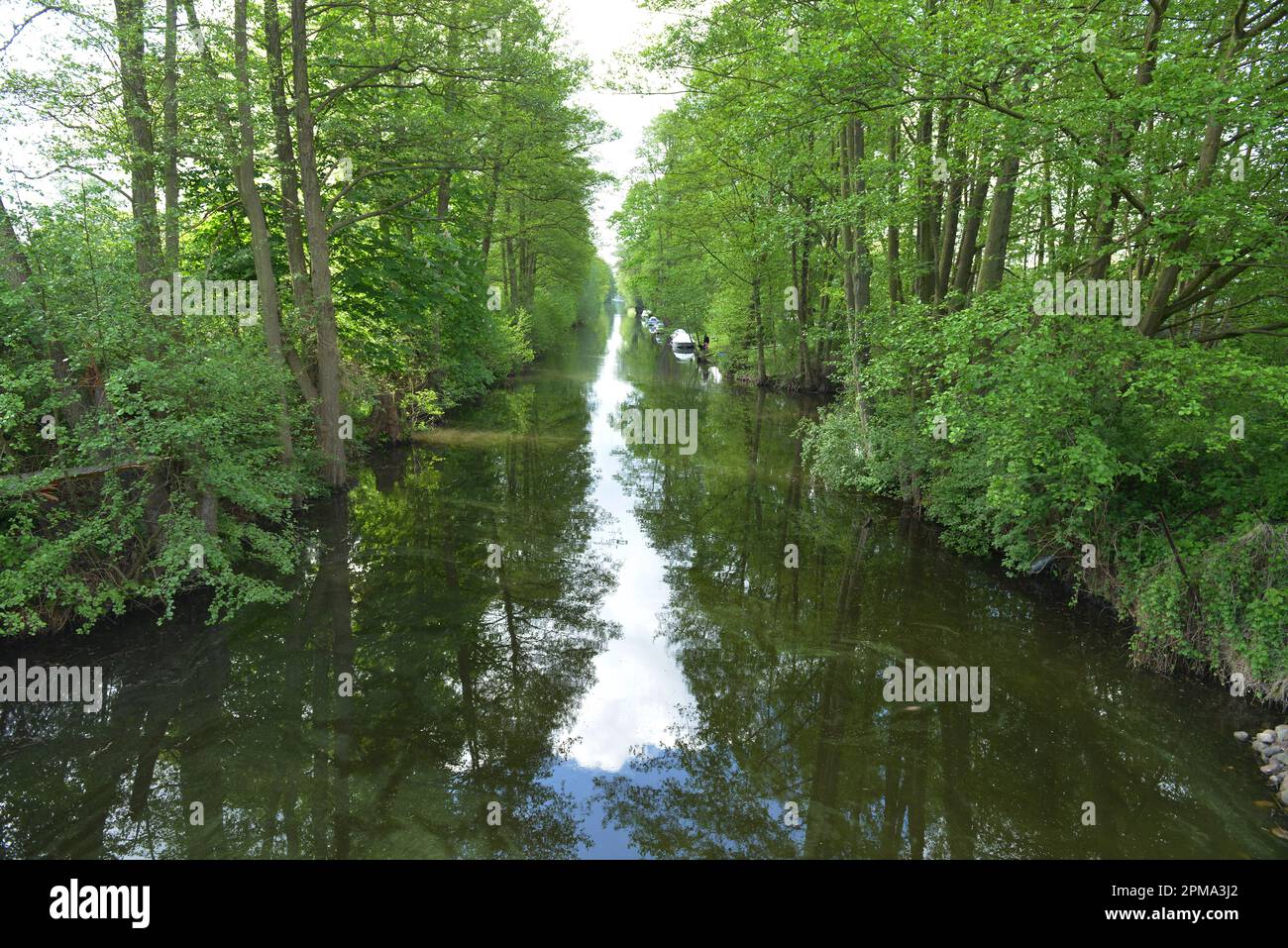 Canal d'Emster, Kloster Lehnin, Brandebourg, Allemagne Banque D'Images