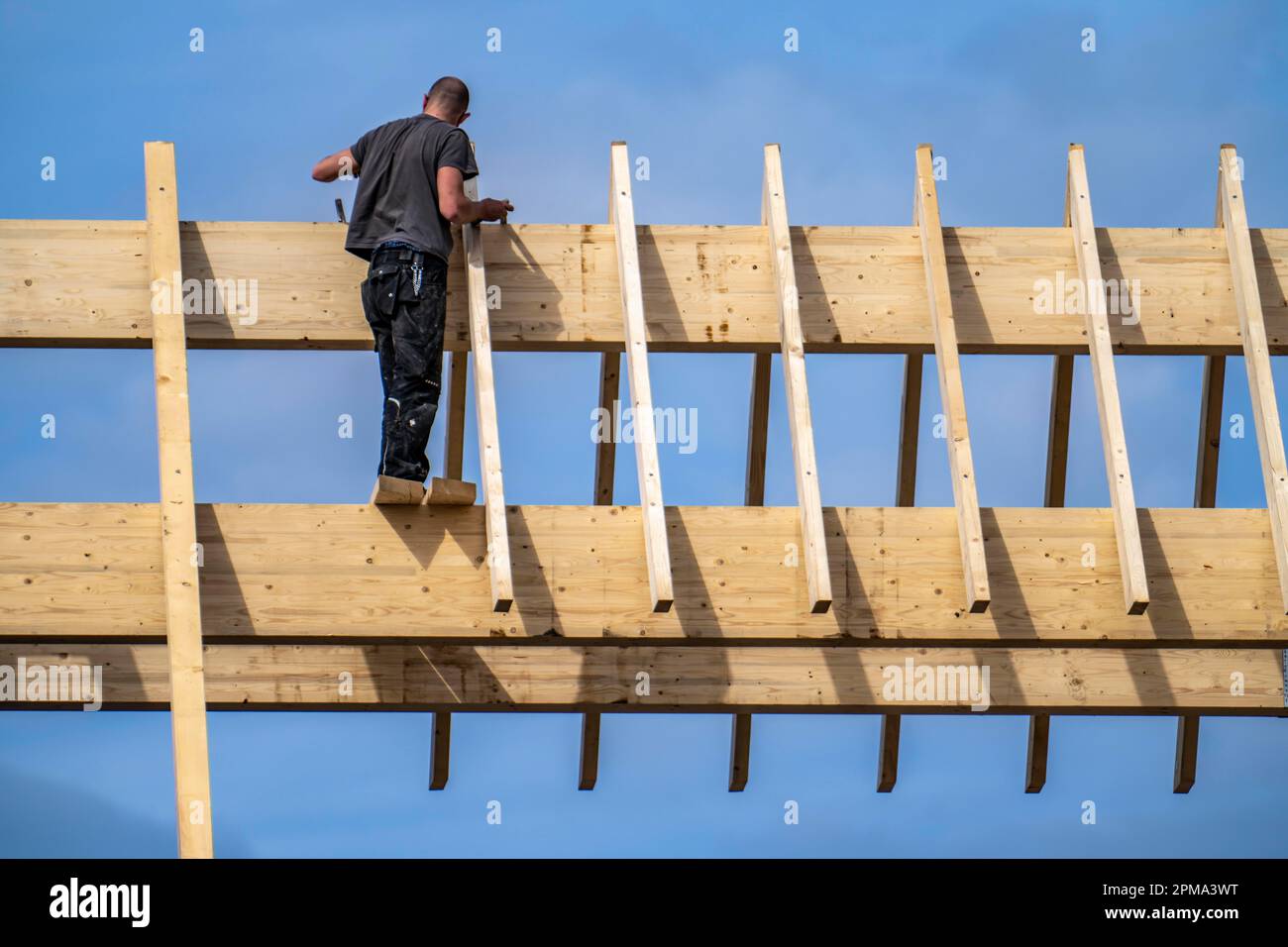 Charpentier, sur une poutre de toit, nouvelle construction d'un toit en bois pointu, remise à neuf, Banque D'Images