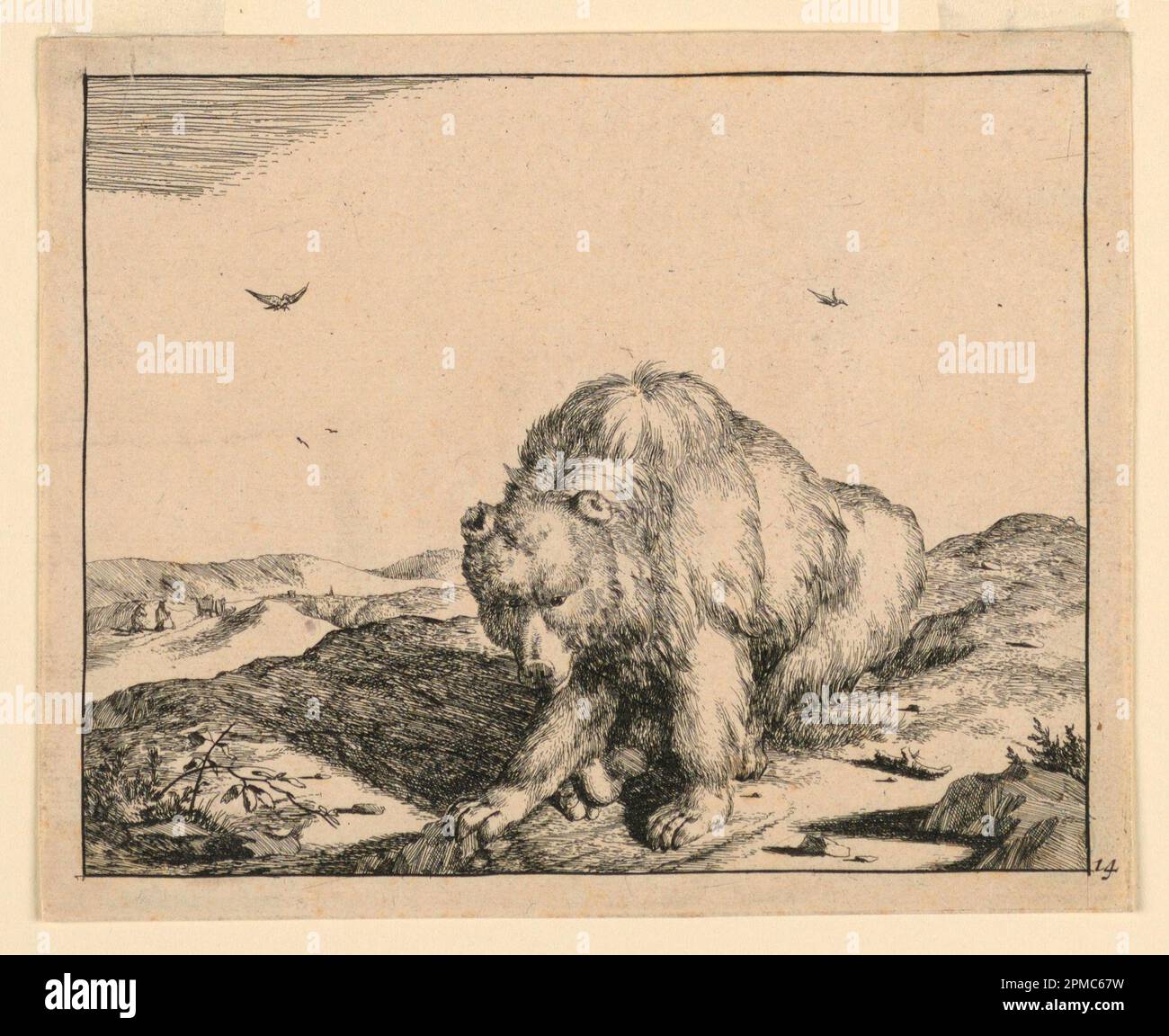Imprimé, Ours assis, d'un ensemble o; Marcus de Bye (1639 – 1690); après Marcus Gerards I (1521 – ca. 1604) ; pays-Bas ; support de gravure : papier blanc ; 19,8 x 14,8 cm (7 13/16 x 5 13/16 po.) Tapis avec -32A tapis : 45,7 x 35,6 cm (18 x 14 po.) Banque D'Images