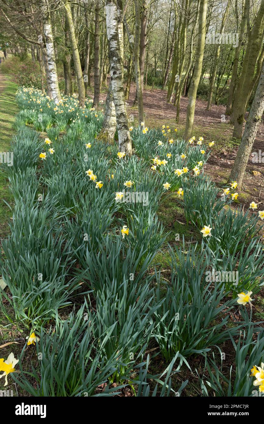 Images de paysage capturées près du village d'Aysgarth, situé dans le nord du Yorkshire de l'Angleterre Banque D'Images