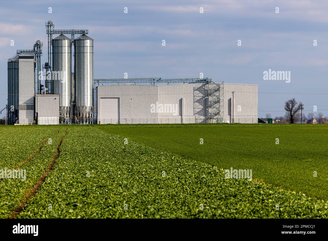 Une usine de production d'aliments pour animaux sur fond de champs agricoles verts. Silos à grains à côté de l'usine de traitement. Photo prise au soleil Banque D'Images