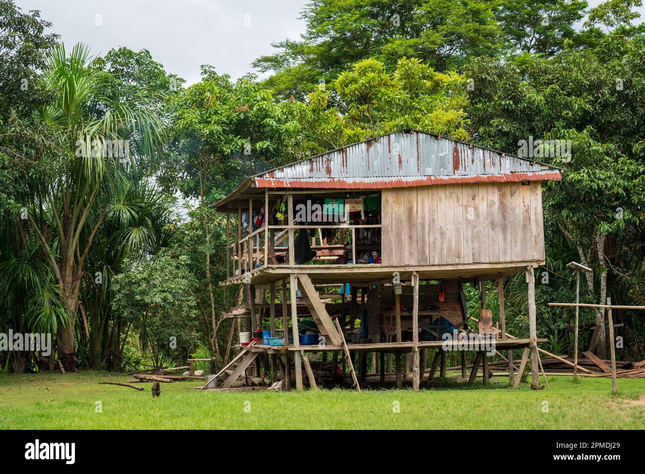 Les communautés et les maisons de Riberenos ponctuent l'Amazonie péruvienne Banque D'Images
