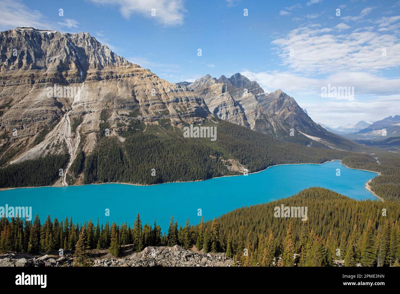 Vue sur le lac Peyto avec des eaux turquoise, une attraction pittoresque le long de la promenade Icefield dans les montagnes Rocheuses du parc national Banff, Canada Banque D'Images