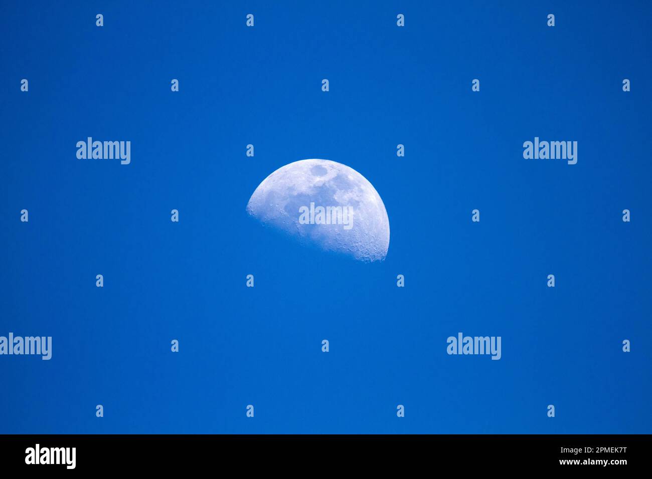 Lune de jour Banque D'Images