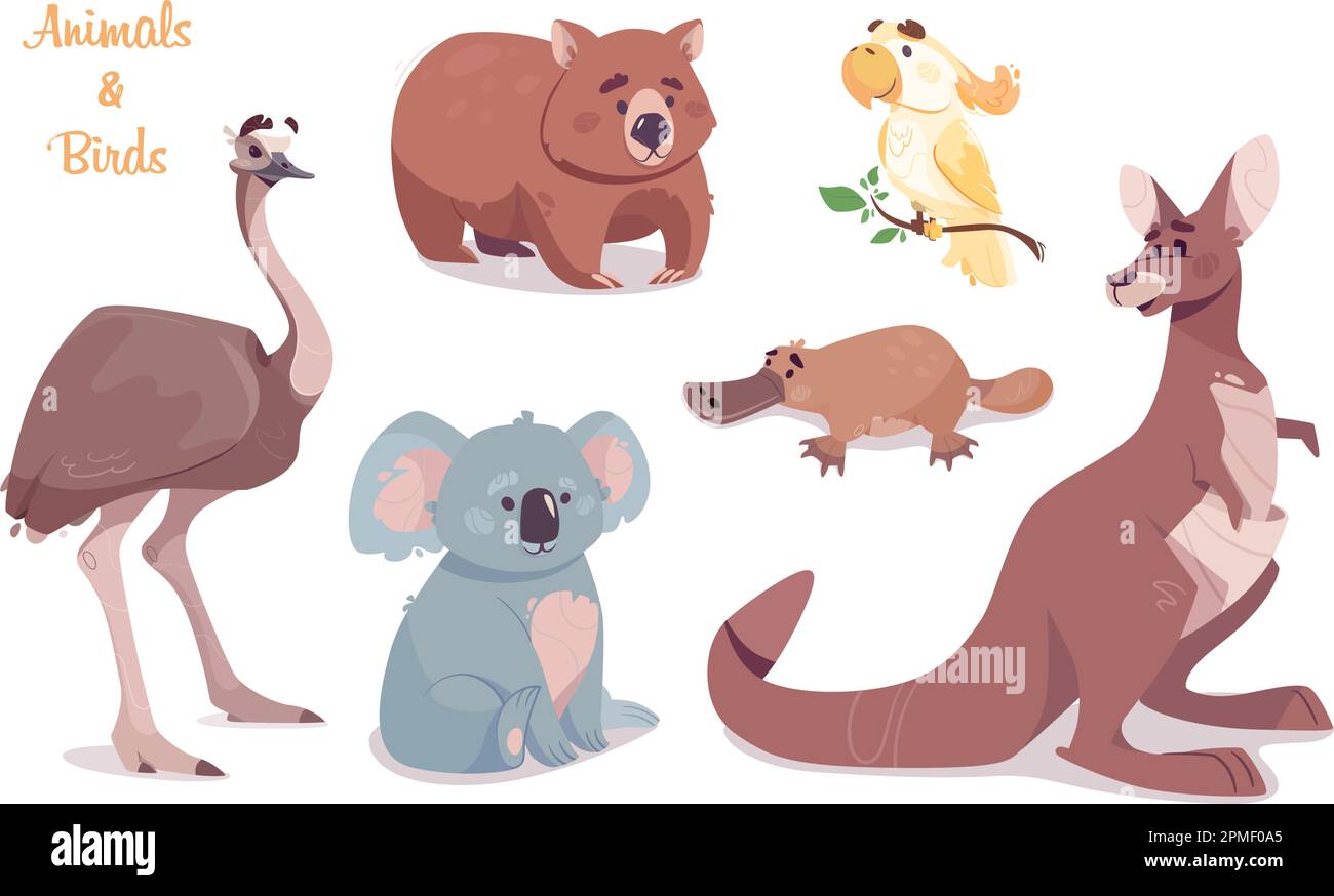 Kangourou, koala, wombat, émeu, cacatoès, platypus, isolé sur fond transparent. Ensemble de vecteurs animaux australiens. Personnages de dessin animé amusants. Animaux sauvages et oiseaux.Illustration du zoo. Illustration de Vecteur