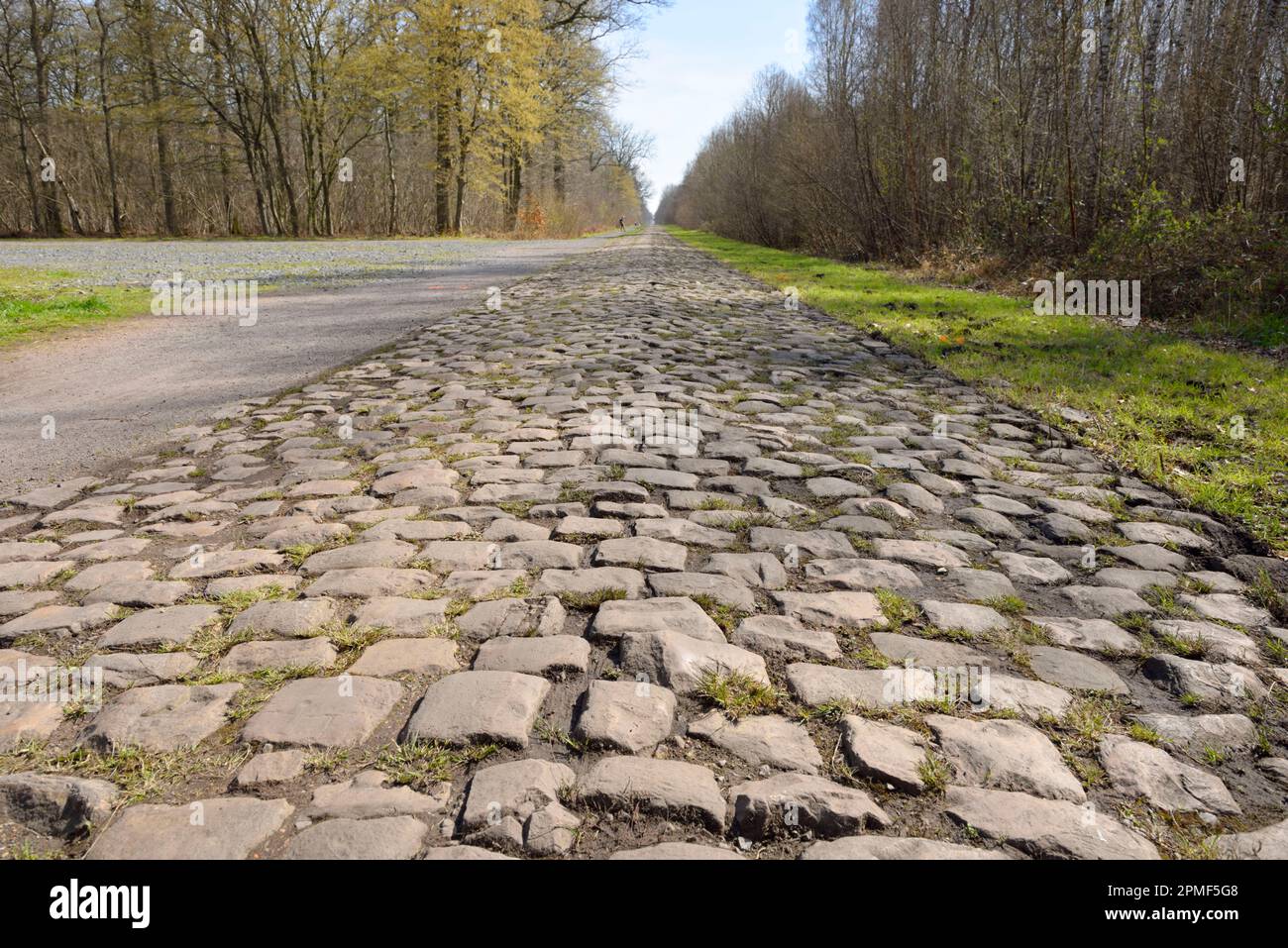 France, Nord, Waller, Waller, route pavée appelée la troupe d'Aremberg où passe la course cycliste Paris Roubaix, passage sur les pavés de la troupe de Waller Aremberg Banque D'Images