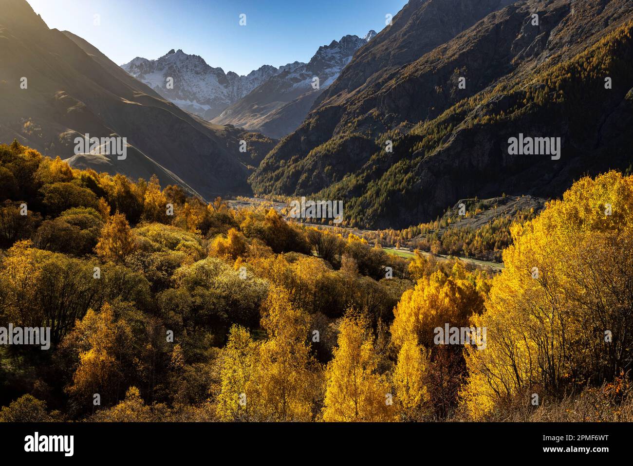 France, Hautes Alpes, couleur d'automne allant jusqu'au Col du Lautaret et à la montagne des Agneaux en arrière-plan Banque D'Images