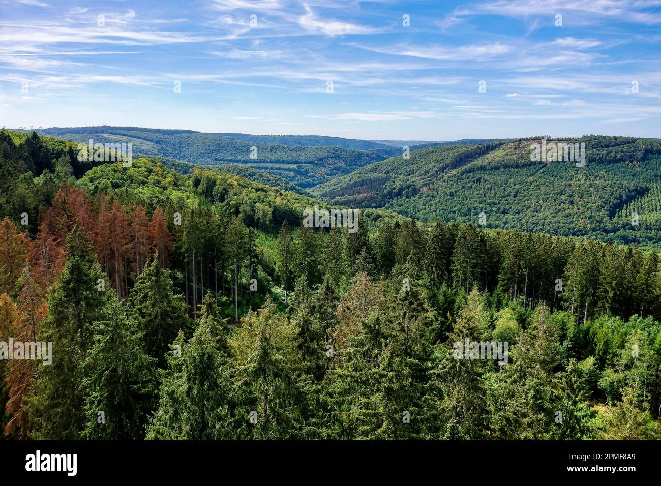 France, Ardennes, Parc naturel régional des Ardennes, Monthermé, Forêt des Ardennes (vue aérienne) Banque D'Images