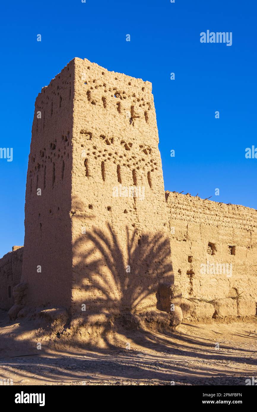 Maroc, province de Zagora, m'Hamid El Ghizlane, le vieux village aux portes du désert, la Kasbah fortifiée Banque D'Images