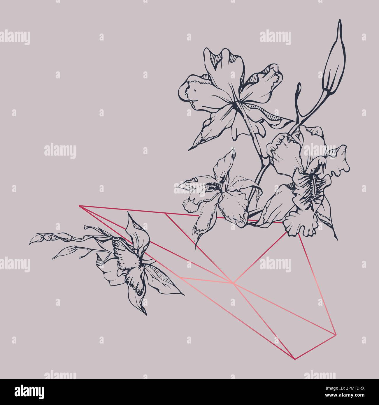 Fleurs et branches d'orchidées à encre vectorielle dessinées à la main, monochrome, contour détaillé. Composition en cristal. Couleur magenta Viva. Design pour mur Illustration de Vecteur