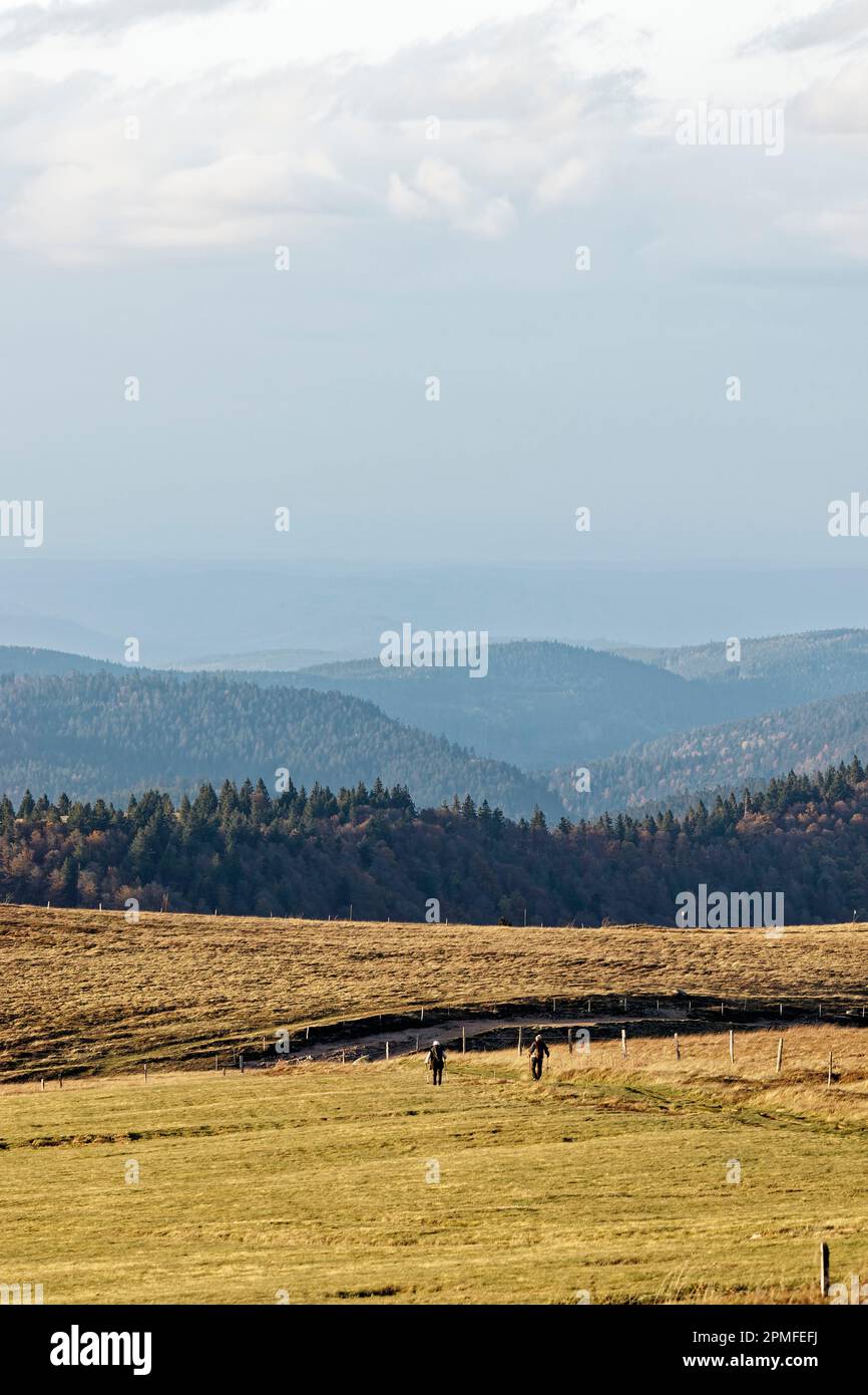 France, Vosges (88), Parc naturel régional des ballons des Vosges, la Bresse, randonneurs au sommet de Hohneck 1363 M. Banque D'Images