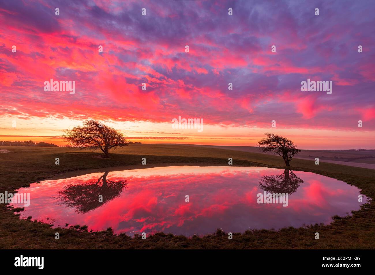 Ciel d'aube vibrant se reflétant dans l'étang de rosée de la balise Ditchling sur la voie sud bas est Sussex sud-est de l'Angleterre Banque D'Images