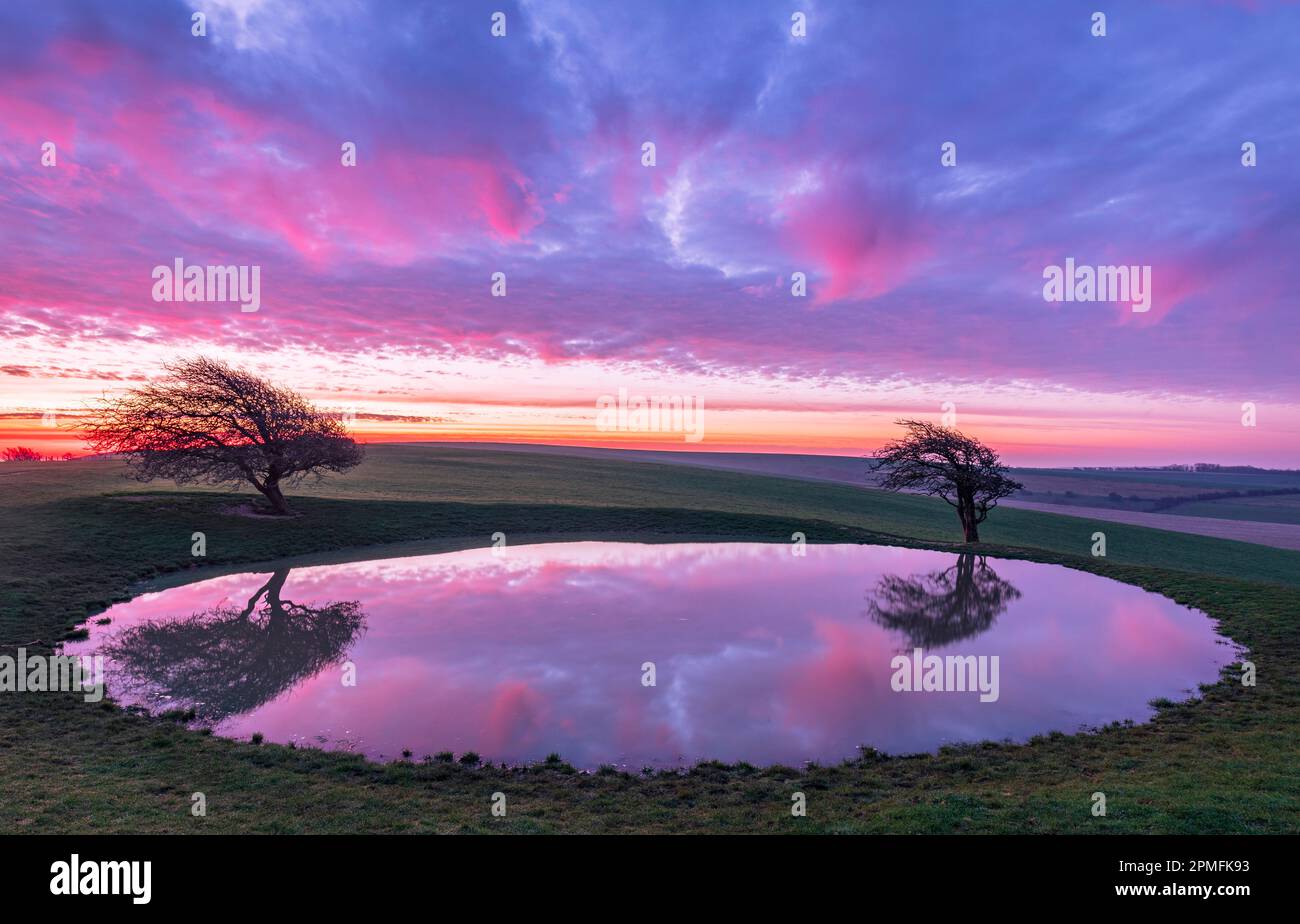 Ciel d'aube vibrant se reflétant dans l'étang de rosée de la balise Ditchling sur la voie sud bas est Sussex sud-est de l'Angleterre Banque D'Images