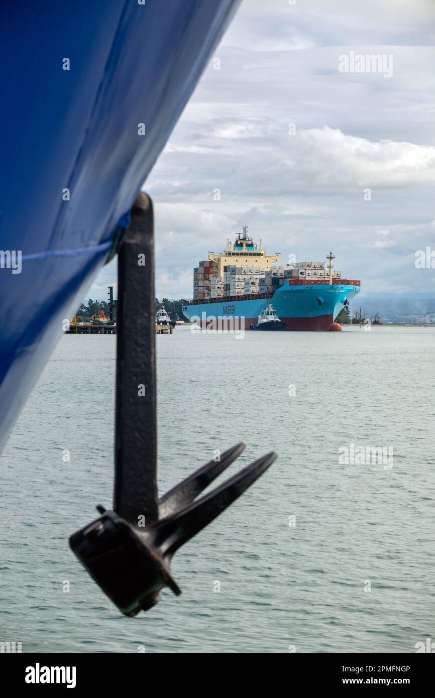 Photo de Tim Cuff - 13 avril 2023 - activité autour de Port Nelson, à l'arrivée du bateau à conteneurs Maersk Inverness, Nelson, Nouvelle-Zélande Banque D'Images