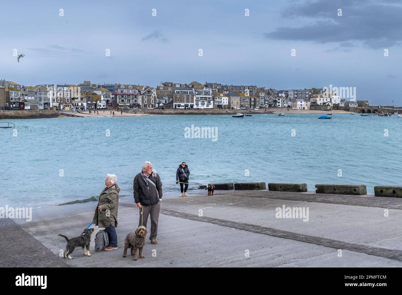 Les randonneurs et leurs animaux de compagnie se tenant sur une cale lors d'une journée froide au-dessus de la ville balnéaire historique de St Ives, dans les Cornouailles, en Angleterre, au Royaume-Uni. Banque D'Images Les randonneurs et leurs animaux de compagnie se tenant sur une cale lors d'une journée froide au-dessus de la ville balnéaire historique de St Ives, dans les Cornouailles, en Angleterre, au Royaume-Uni. Banque D'Images