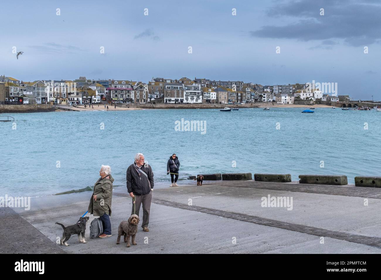 Les randonneurs et leurs animaux de compagnie se tenant sur une cale lors d'une journée froide au-dessus de la ville balnéaire historique de St Ives, dans les Cornouailles, en Angleterre, au Royaume-Uni. Banque D'Images