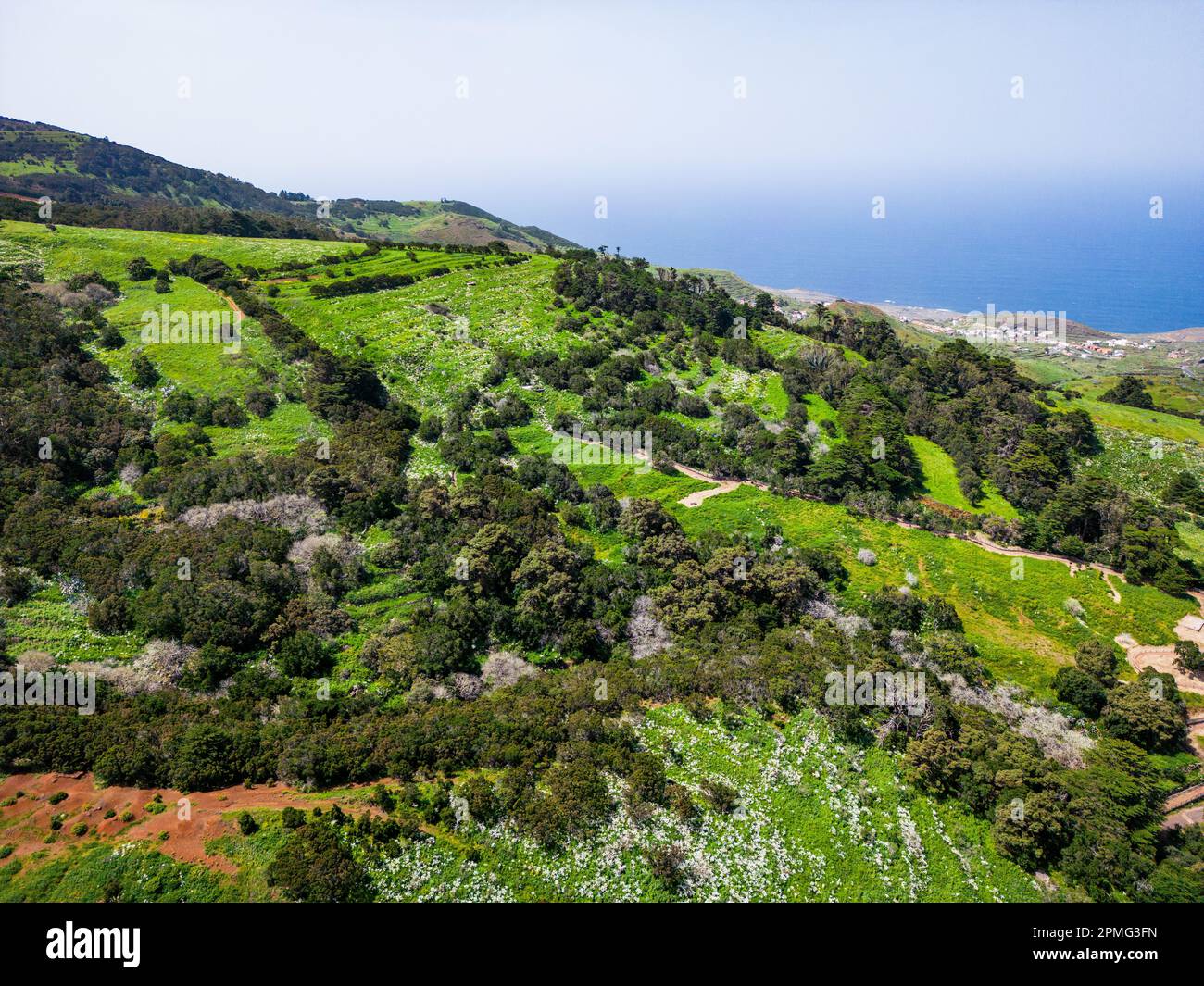 Vue aérienne sur les collines volcaniques vertes près de la Villa de Valverde sur l'île El Hierro. Îles Canaries, Espagne. Banque D'Images
