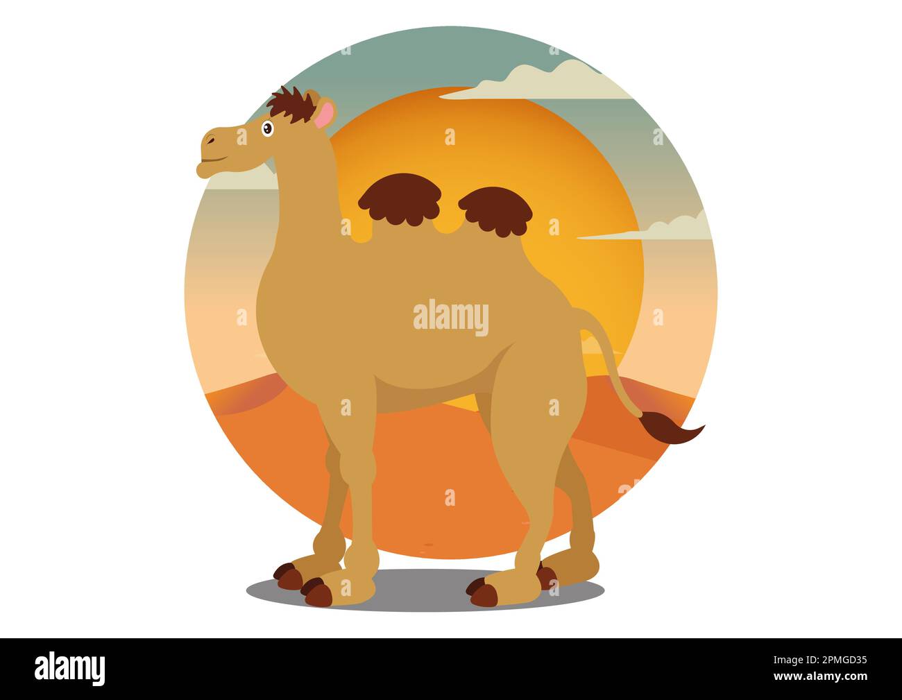 Dessin animé chameau isolé sur fond blanc.Illustration vectorielle Illustration de Vecteur