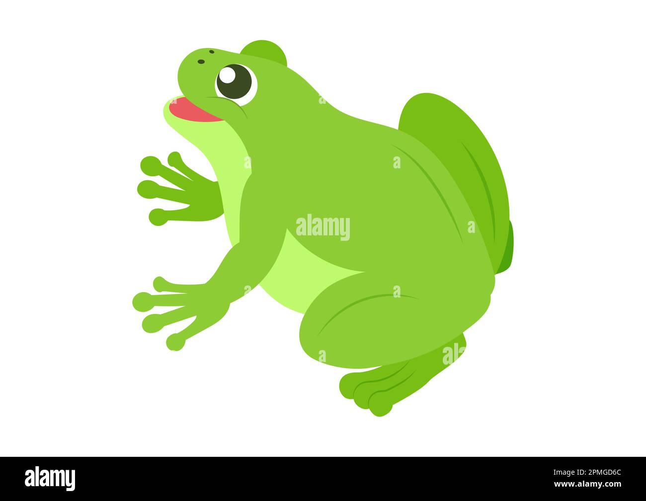 Grenouille verte de dessin animé. Illustration vectorielle de la grenouille verte Illustration de Vecteur