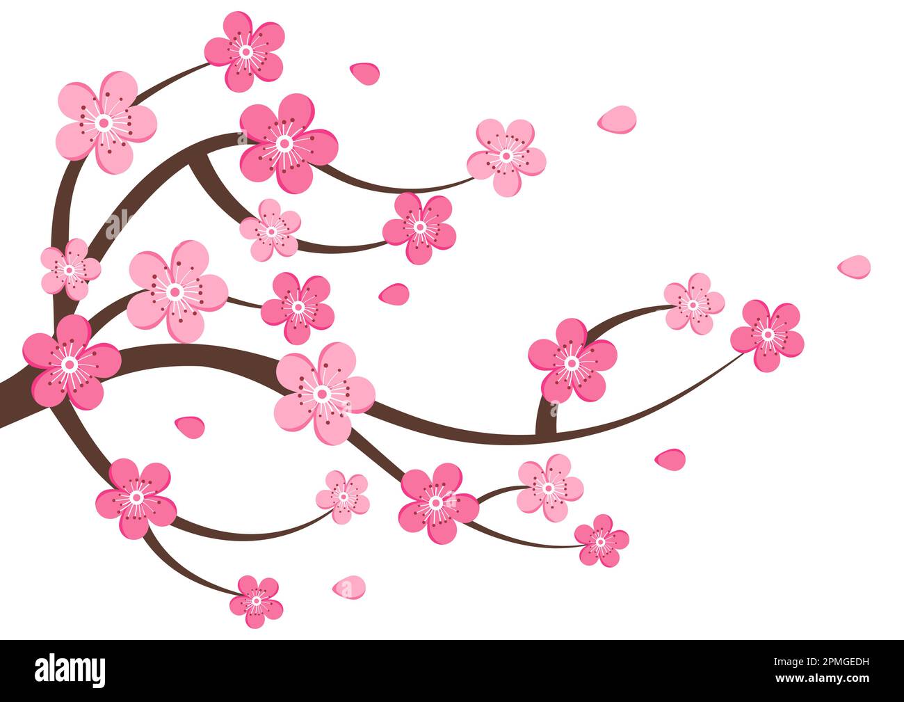 Vecteur clipart de cerisier isolé sur fond blanc Illustration de Vecteur