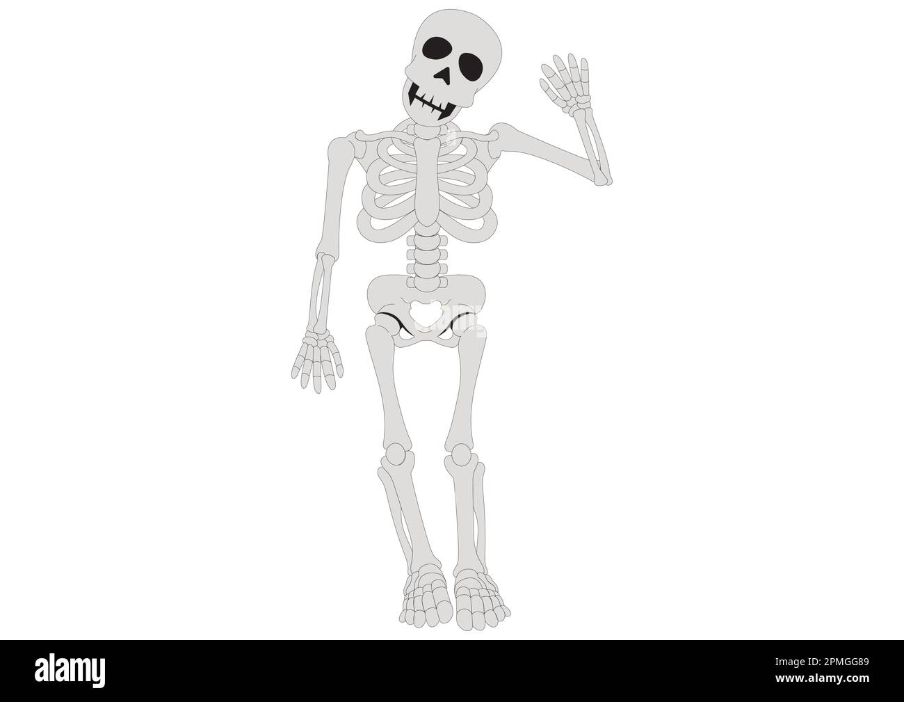 Bonjour Skeleton. Squelette de dessin animé. Illustration vectorielle du squelette Illustration de Vecteur