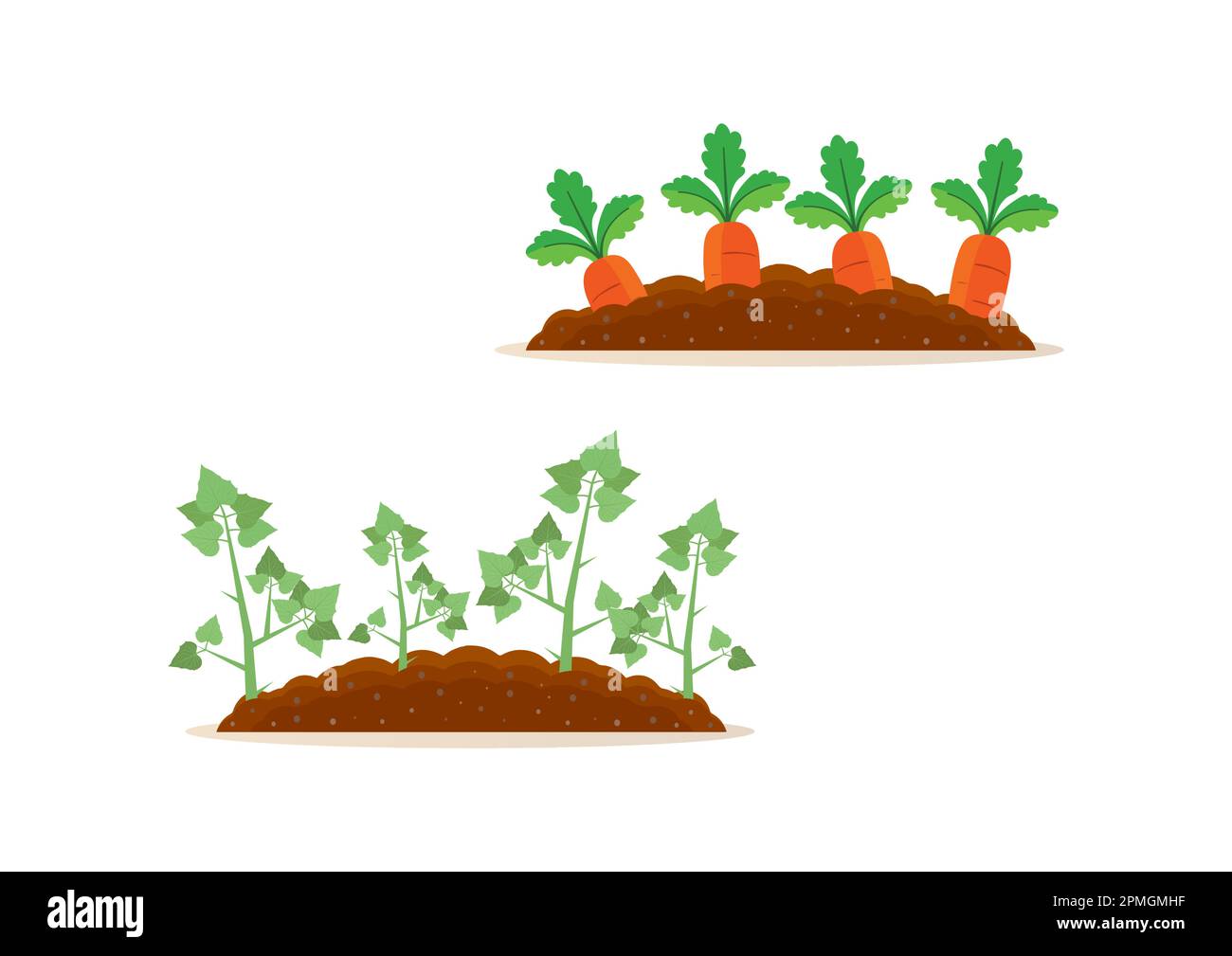 Récolte de pommes de terre et de carottes Illustration de Vecteur