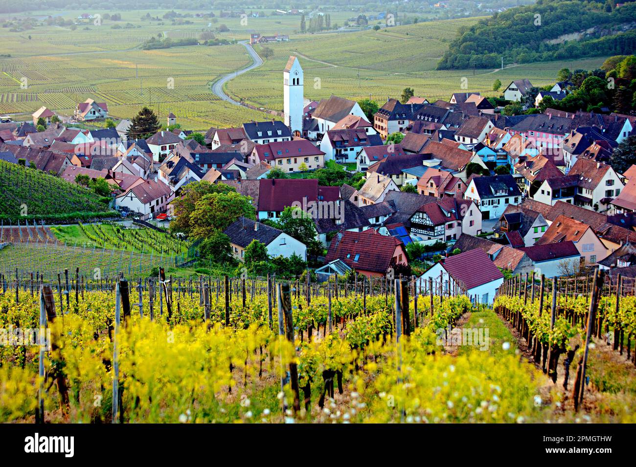 Vue sur la ville viticole de Kathenthal, Alsace, France Banque D'Images