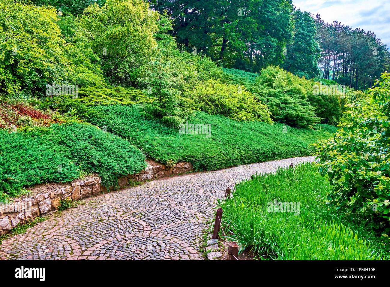 L'allée étroite à travers le jardin paysager anglais de Sofiyivsky Park, Uman, Ukraine Banque D'Images